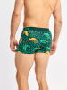 Hunting Chameleon - Mens Fitted Trunks - Dedoles